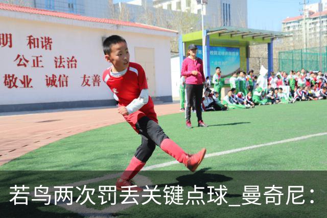 若鸟两次罚丢关键点球 曼奇尼：附加赛还是他主罚